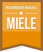 Conoscere il miele